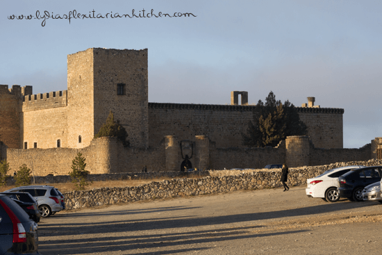 Pedraza_castillo
