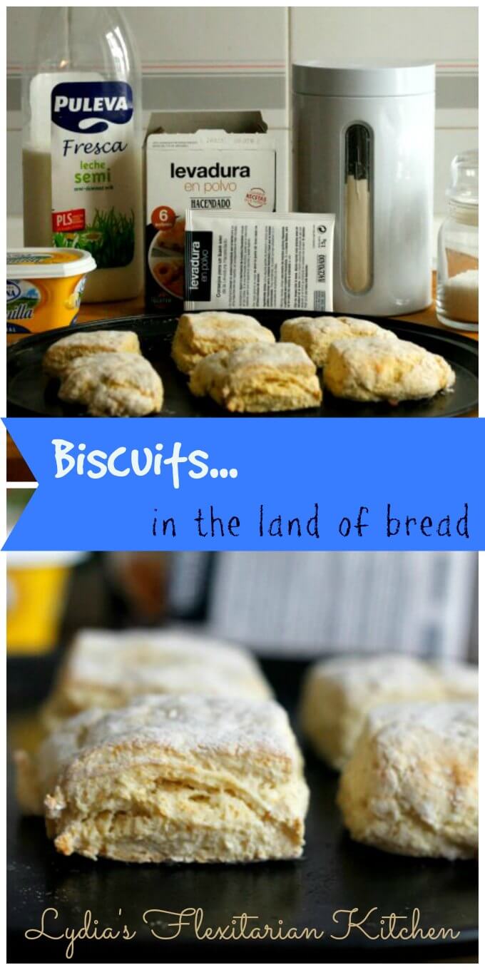 Baking Powder Biscuits for Two ~ Lydia's Flexitarian Kitchen